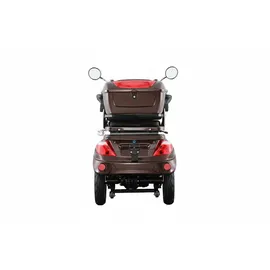 aktiv mobil AM E-Trike Pro Elektromobil 25 km/h braun