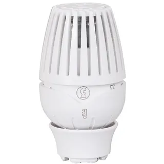 Giacomini - Heizungsarmatur - Thermostatkopf R460 - : R460X001