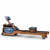 Sportstech WRX500 Eiche