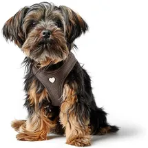 Hunter Love Hundegeschirr Braun XXS-XS