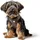 Hunter Love Hundegeschirr Braun XXS-XS