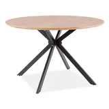 Feldmann-Wohnen Esstisch Küchentisch Aster 120x120cm Eiche schwarz - Braun/Schwarz