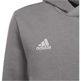 adidas Entrada 22 Hoodie Grau 164