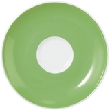SELTMANN WEIDEN Liberty Meadow Grasses green Espressountere 12 cm