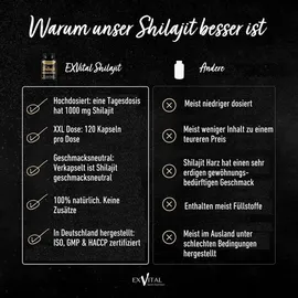 Exvital Mumijo Shilajit Kapseln 1000 mg 74 g