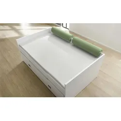 PAIDI Comfort-Rolle   , grün