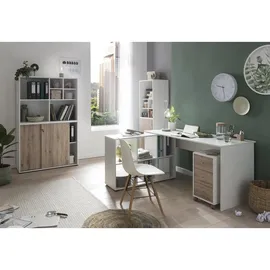 Proregal Regalkreuz Pigeon HxBxT 38,4 x 47,5 x 32,8 cm, Arbeitszimmer, Aktenschränke