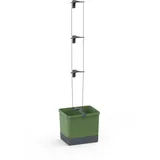 Gusta Garden Curt Cucumber 34,7 x 28,1 x 13,8 cm Dunkelgrün