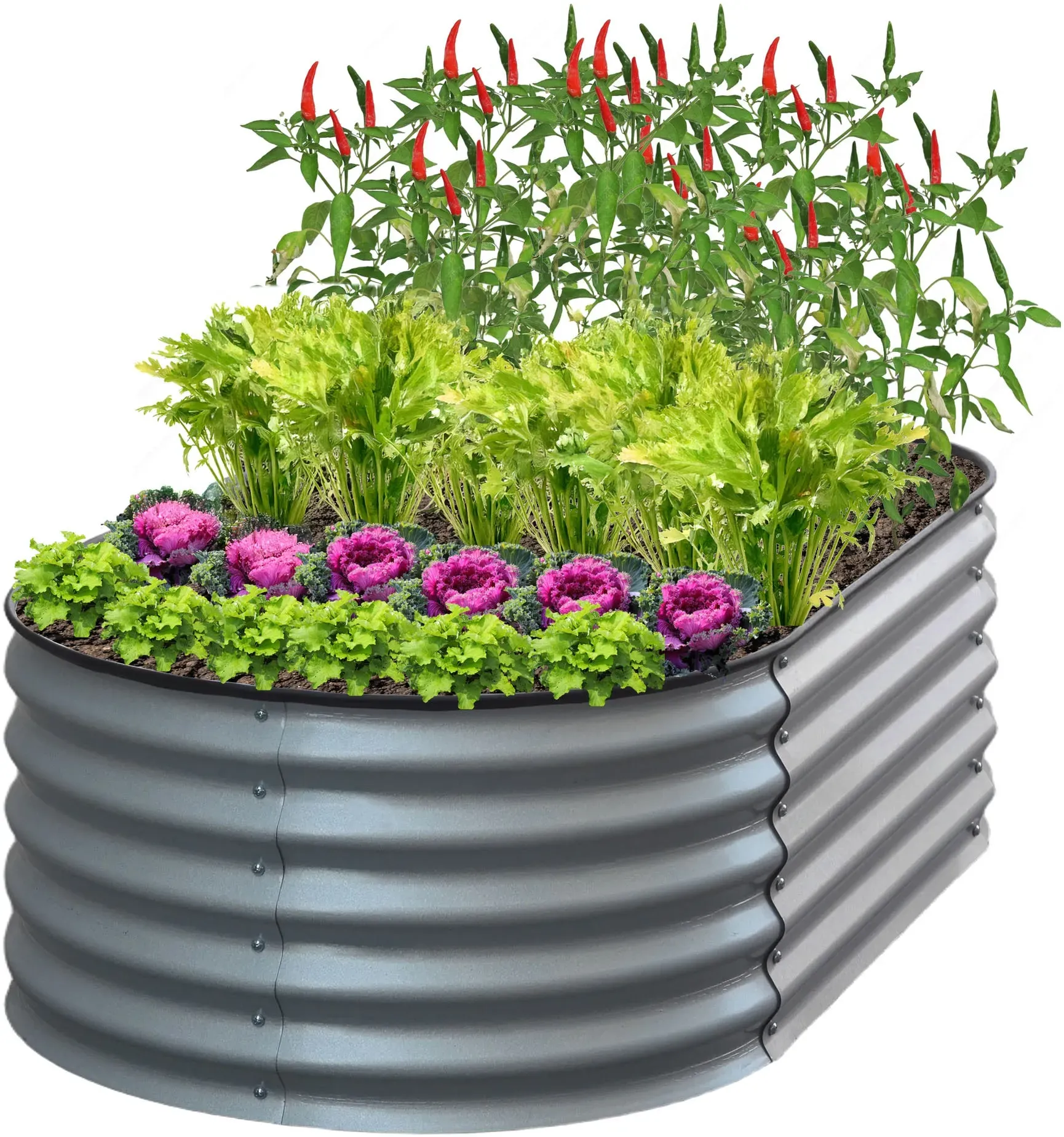 Hochbeet KONIFERA 