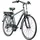 Zündapp Z802 2021 28 Zoll RH 48 cm grau/grün