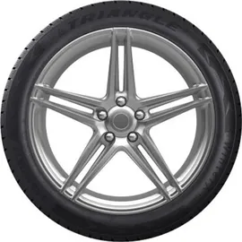 Triangle WinterX TW401 195/65 R15 95T XL