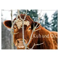 Calvendo Kuh und Co. (Wandkalender 2026 DIN A3 quer),