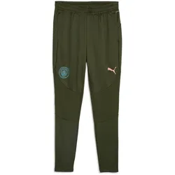 PUMA Manchester City FC Trainingshose Herren 13 - myrtle/bold blue M