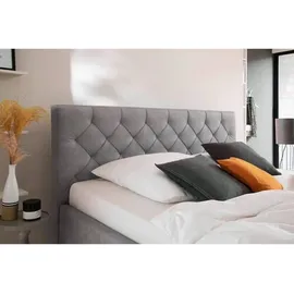 Meise Möbel Polsterbett San Remo 180 x 200 cm Stoff Grau Hellgrau