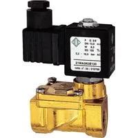Riegler 2/2-MV,MS,NO,vorge.,230-240V,50-60Hz,16VA,NBR,G1/2,PN0,2-16bar