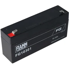 Fiam FG10301 Blei Akku 3,0Ah 1 St.
