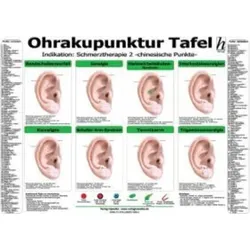 Ohrakupunktur Tafel - Indikation: Schmerztherapie 2