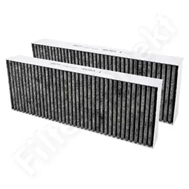 Bora BAKFS Aktivkohlefilter-Set (2 Stück)