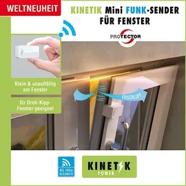 PROTECTOR ASK-5020 Abluftsteuerung