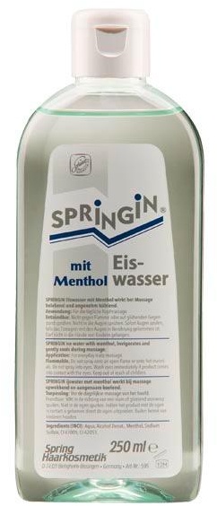 Spring Eiswasser mit Menthol 250 ml