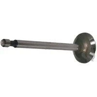 Greenstar Ventil Einlassventil 16130001