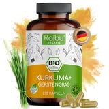 Raibu Kurkuma Gerstengras Kapseln Bio (270 x 700 mg) - In Deutschland produziert - Gerstengras Curcuma Kapseln im Verhältnis 2:1 - Gerstengras Kurkuma Kapseln hochdosiert - Vegan & ohne Zusätze