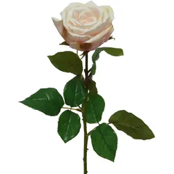 Rose am Stiel - Kunstblume - Real Touch Oberfläche - H: 68cm - creme