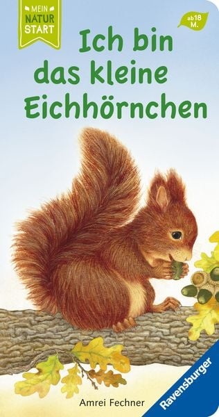 Preisvergleich Produktbild Ich bin das kleine Eichhörnchen