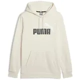 Puma Ess+ 2 Col Big Logo Fl Kapuzenpullover Alpine Snow XL