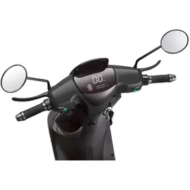 LUXXON XT2000 2000 Watt 45 km/h schwarz