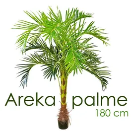 Decovego Kunstpalme Künstliche Kunstpalme Palme künstlich Arekapalme Kunstpflanze 180 cm, Decovego