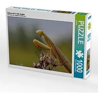 Calvendo Schau Mir in die Augen Puzzle