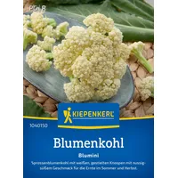 Kiepenkerl Gemüsesamen, Sprossenblumenkohl Blumini