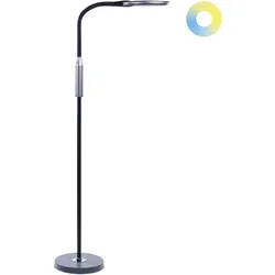 LED Stehlampe CASSIOPEIA mit Dimmer Metall Schwarz