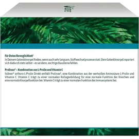 Hübner Arthoro L-Prolin Pulver 600 g