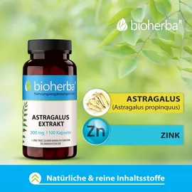 Bioherba Astragalus Kapseln 300 mg 100 St.