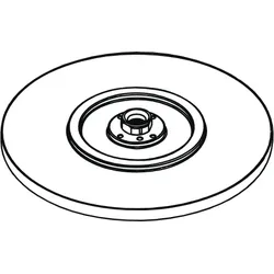 hansgrohe Tellerkopfbrause Raindance 240 mm f. Raindance Showerpipe/Connect