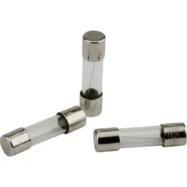 TR 1,8A - Feinsicherung 5x20mm, träge 1,8A