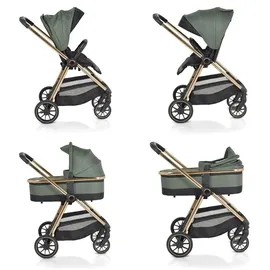 Cangaroo Hydra Grün