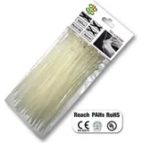 Bradas TS1176550N Transparent 100 Stück(e)