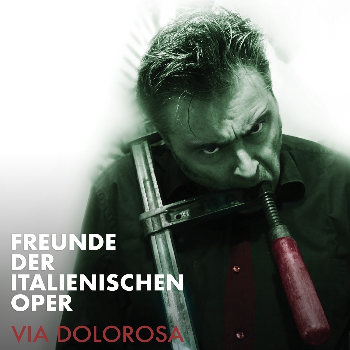 Via Dolorosa - Freunde der Italienischen Oper. (CD)