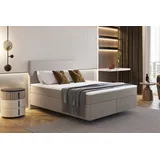 Fun Möbel Boxspringbett Schlafzimmerbett DEVIL Delux 200x200cm in Stoff Scala Braungrau - Bunt
