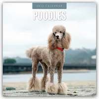 BrownTrout / Flechsig Poodles - Pudel 2026 - 16-Monatskalender