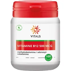 Vitamin B12 500 mcg (100 Lutschtabletten)