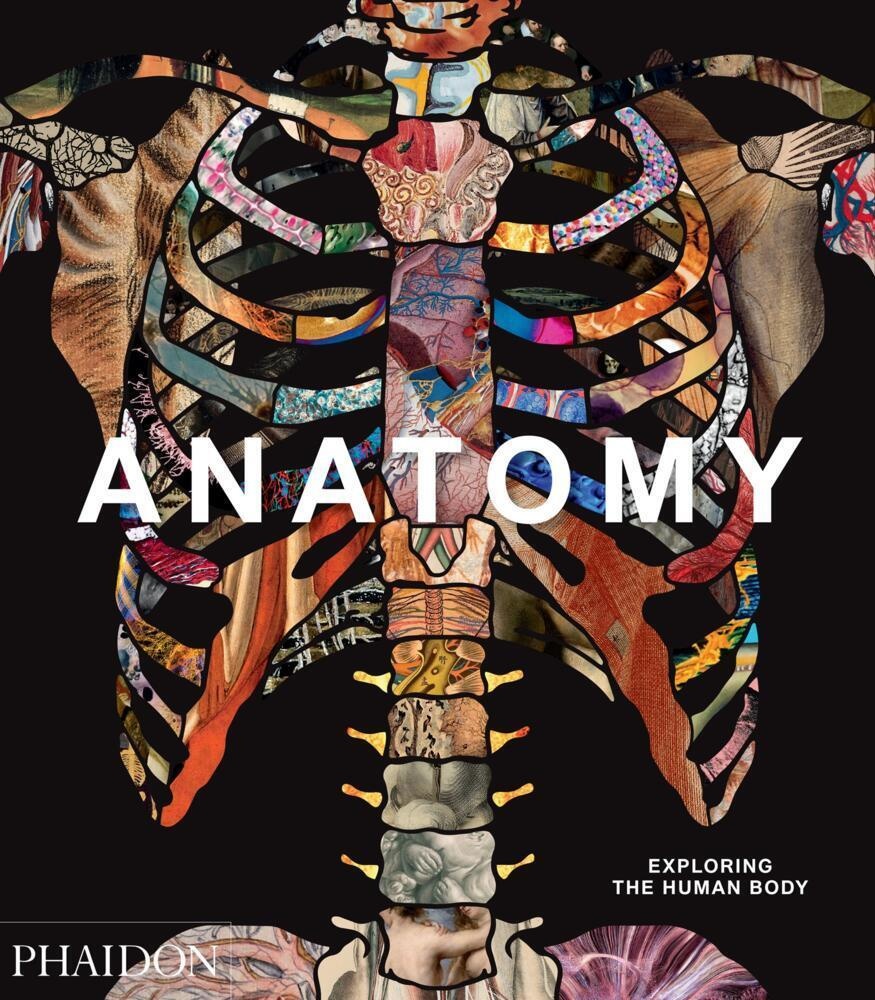Anatomy: Exploring The Human Body - Phaidon Press  Gebunden