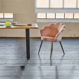 KAWOLA Stuhl Carla Esszimmerstuhl Velvet Fuß Gold