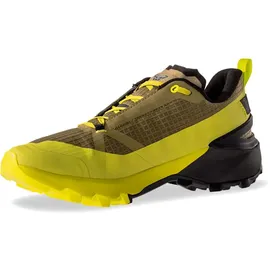 Dynafit Transalper 2 Schuhe (Größe 46