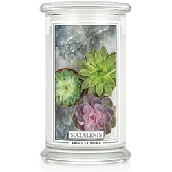 Succulents 623g