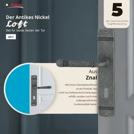Domino Langschildgarnitur BB-Buntbart Nickel Loft M95