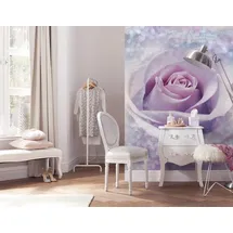 KOMAR Fototapete Vlies Delicate Rose 200 x 260 cm